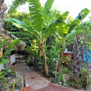 Pensión La Casa De Los Ninos Del Arbol, Bacalar